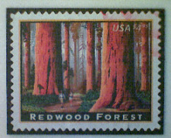 United States, Scott #4378 Used(o), 2009, American Landmarks Series: Redwood Forrest, $4.95, Multicolored - Usati