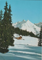 101156 - Österreich - Stubaier Alpen - Ca. 1980 - Other