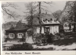 125332 - Altenberg-Bärenfels - Haus Waldfrieden - Altenberg