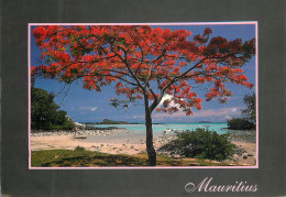 Mauritius Grand Gaube - Maurice