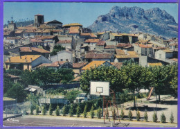 Carte Postale 83. Roquebrune-sur-Argens  Terrain De Basket-ball   Très Beau Plan - Roquebrune-sur-Argens