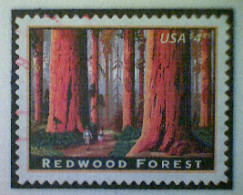 United States, Scott #4378 Used(o), 2009, American Landmarks Series: Redwood Forrest, $4.95, Multicolored - Gebruikt