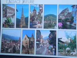 L'Alsace Fleurie    Multivues    CP240405 - Alsace