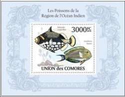 Comores - 2010 - Fish - Bf 263 - Poissons