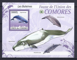 Comores - 2009 - Wales - Yv Bf 197 - Whales