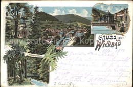 71678672 Wildbad Schwarzwald Panorama Anlagen Trinkhalle Hotel Bellevue Bad Wild - Autres & Non Classés