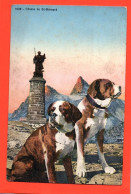 Carte Postale CHIEN Du Saint BERNARD  Tampon Hôtel Du Saint Bernard  ( 21747 ) - Hunde