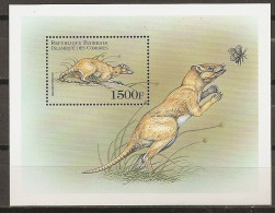 Comores - 1999 - Prehistorics: Megazostrodon - Yv Bf 90 - Prehistorisch