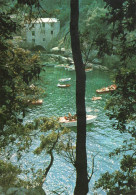 CPM - R - ITALIE - LIGURIE - SAN FRUTTUOSO DI CAMOGLI - REFLETS ET COULEURS - Altri & Non Classificati