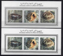 Comores - 1992 - Shells - Yv 541/42 + Aer 305 - Coquillages