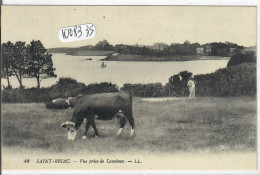 SAINT-BRIAC- LES BOVINS- VUE PRISE DE LANCIEUX - Saint-Briac