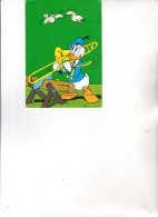 Cartolina : WALT  DISNEY  PRODUCTIONS   -   PAPERINO  SUONATORE       Viaggiata  1971 - Comics