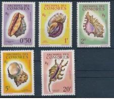 Comores - 1962 - Shell - Yv 19/23 - Coquillages