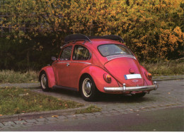Volkswagen Coccinelle/Beetle    -  CPM - Passenger Cars