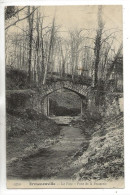 Ermenonville (60) : Le Pont De La Brasserie Dans Le Parc En 1904 PF. - Ermenonville