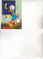 Cartolina : WALT  DISNEY   -  PAPERINO      Viaggiata   1966 - Comics