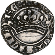 Comté De Provence, Robert D'Anjou, Provençal Coronat, 1309-1343 - Other & Unclassified