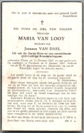 Bidprentje Tielen - Van Looy Maria (1863-1951) - Images Religieuses