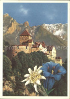 71674085 Vaduz Schloss Mit Alpenblick Enzian Edelweiss Vaduz - Liechtenstein