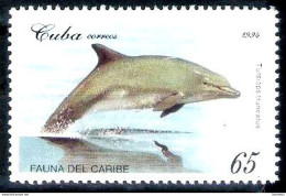 2858  Dolphins - Dauphins - 1994 - MNH - Only This Dolphin In The Stamp Set - Cb - 1,50. - Dolfijnen