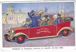 HUMOUR/CHATS HUMANISES/ THE TOURIST'S SIGHT SEEING CAR/"MMES MMS ADMIREZ LES BEAUTES DE NOTRE VILLE"/W.S.S.B. - Katzen