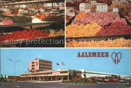 71669247 Aalsmeer Flower Market Blumenmarkt Aalsmeer - Other & Unclassified