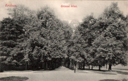 H2955 - Arolsen - Grosse Allee - Carl Loewie - Waldeck