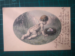 CARTE POSTALE, ART, PEINTURE ;   Belle Carte Autrichienne Avec L'image D'un Bébé Ange à Côté D'un Nid Avec Des œufs.  Di - Malerei & Gemälde