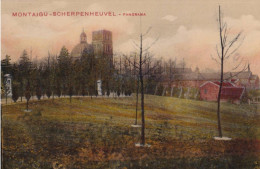 SCHERPENHEUVEL - MONTAIGU - Panorama - Scherpenheuvel-Zichem