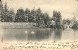 71623588 Gand Belgien Le Grand Lac Au Parc Schwan  - Sonstige & Ohne Zuordnung