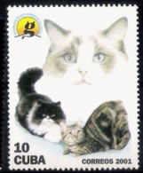 222  Chats - Cats - MNH - Only This Cat In The Set Of Stamps - Cb - 1,25 - Hauskatzen