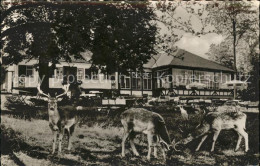 71618500 Braunfels Forsthaus Im Tiergarten Wildgehege Braunfels - Autres & Non Classés