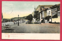 C.P. Dinant =  Rive  Gauche De La Meuse - Dinant