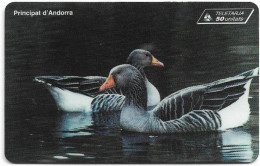 Andorra - STA - STA-0062 - Grey Lag Geese, SC7, 11.1996, 50Units, 10.000ex, Used - Andorra