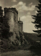 HOLLENFELS - Le Chateau - Auberge De La Jeunesse - Sonstige & Ohne Zuordnung