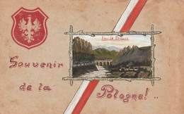 Souvenir De La Pologne - Sur Le Zbrucz  - Carte Peinte à La Main - Pologne