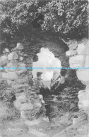 R172110 Pevensey Castle. 1911 - World