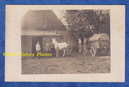 CPA Photo D'un Allemand - Front à Situer , Lire Verso - Maréchal Ferrant Militaire - Cheval Blanc - Attelage WW1 Soldat - Guerre 1914-18