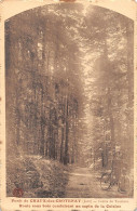 Chaux Des Crotenay Forêt Sapin De La Cuisine Arbre Arbres Raphaël Bauer - Autres & Non Classés