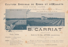Antibes , établissement D'horticulture CARRIAT - Other & Unclassified