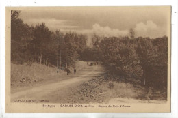 Fréhel (22) : La Promenade Des Sables-d'Or-les-Pins Dite Ronde Du Bois D'Amour Env 1930 (animé) PF - Cap Frehel