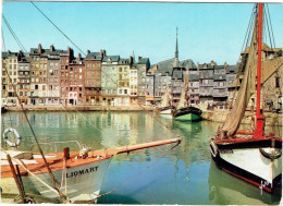 CPM FRANCE 14 CALVADOS HONFLEUR - Le Vieux Bassin - 1971 - Honfleur