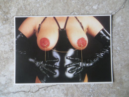 CPM PIN UP NIKKI PHOTO STEPHAN RICHTER 1988 - SEINS GRIMES ENCHAINES ACCESSOIRES CUIR GANTS - Pin-Ups