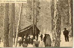 -2A - CORSE-  EVISA - Foret D'Aitone. Les. Bucherons Dans La Neige - Sonstige & Ohne Zuordnung