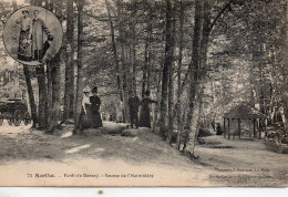 Forêt De Bercé Animée Source De L'Hermitière - Other & Unclassified