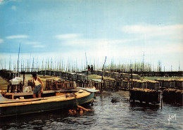 33-BASSIN D ARCACHON-N°2804-C/0239 - Sonstige & Ohne Zuordnung