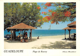 971-GUADELOUPE PLAGE DE ROCROY-N°2804-B/0223 - Other & Unclassified