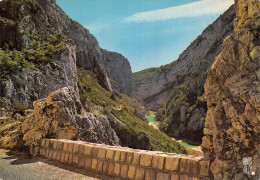 04-LES GORGES DU VERDON DEFILE DE CAREJUAN-N°2804-B/0021 - Autres & Non Classés