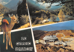 88-LE GRAND BALLON-N°2804-B/0007 - Autres & Non Classés