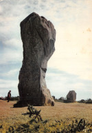 56-CARNAC-N°2805-B/0001 - Carnac